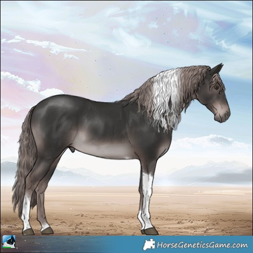 Horse Color:Platinum Liver Chestnut Tobiano 