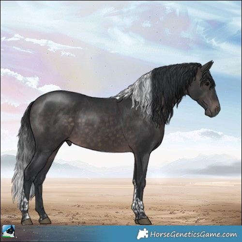 Horse Color:Platinum Brown Tobiano Rabicano 