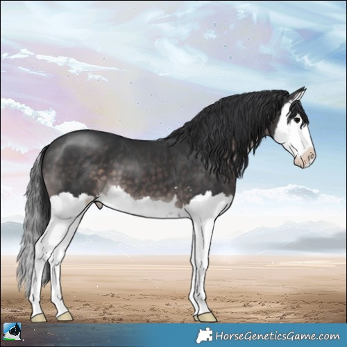 Horse Color:Platinum Brown Splash 