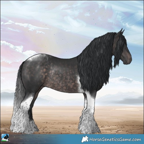 Horse Color:Platinum Brown Tobiano Rabicano