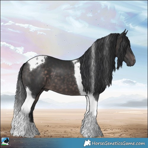Horse Color:Platinum Brown Tobiano 