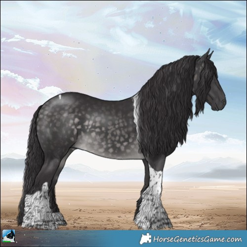 Horse Color:Platinum Buckskin Tobiano Rabicano 