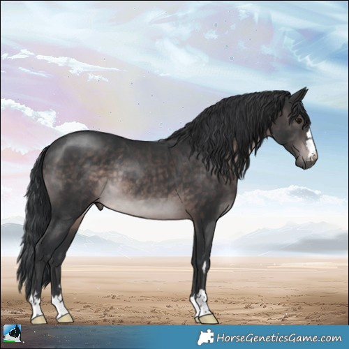 Horse Color:Platinum Brown Rabicano 