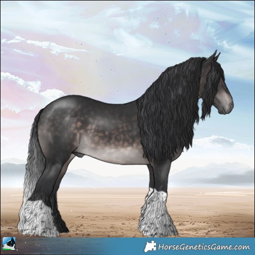 Horse Color:Platinum Brown Tobiano Rabicano 