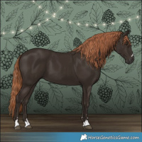 Horse Color:Liver Chestnut 