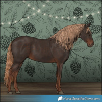 Horse Color:Liver Chestnut 