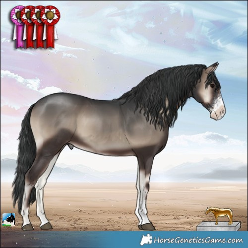 Horse Color:Blue Onyx Sabino Rabicano 