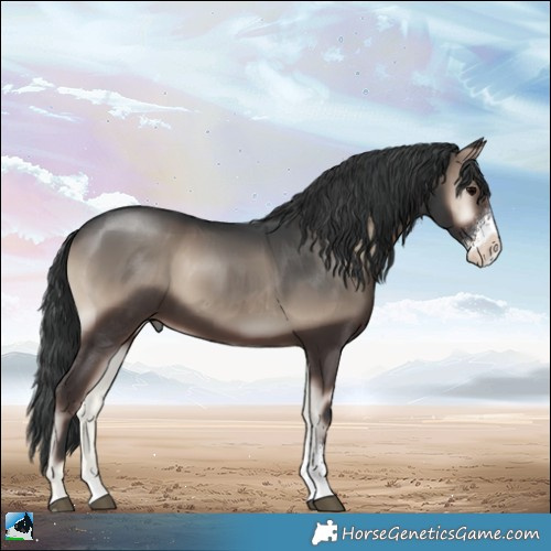 Horse Color:Blue Onyx Sabino Rabicano 