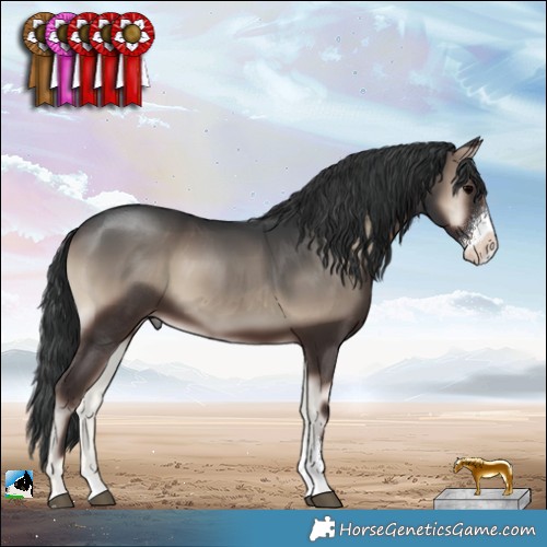 Horse Color:Blue Onyx Sabino Rabicano 