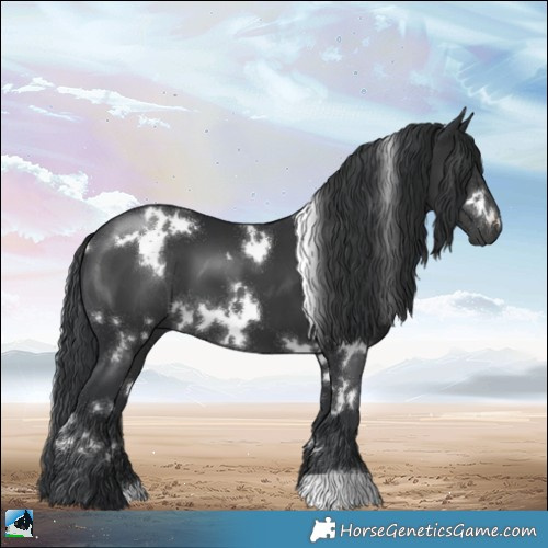 Horse Color:White Spotted Black 