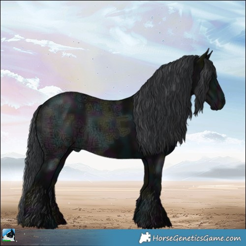 Horse Color:Midnight Black Ice 