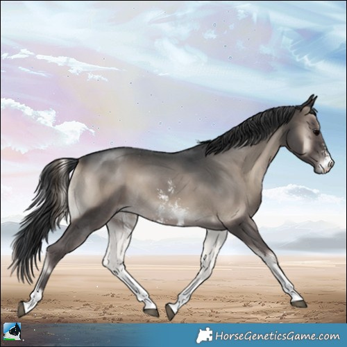 Horse Color:Blue Onyx Sabino