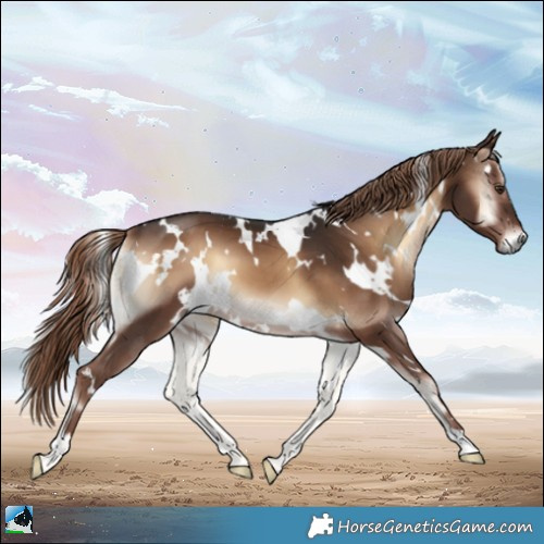 Horse Color:White Spotted Liver Red Onyx