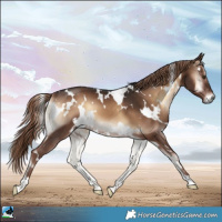 Horse Color:White Spotted Liver Red Onyx 