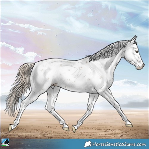 Horse Color:Chocolate Palomino Sabino 