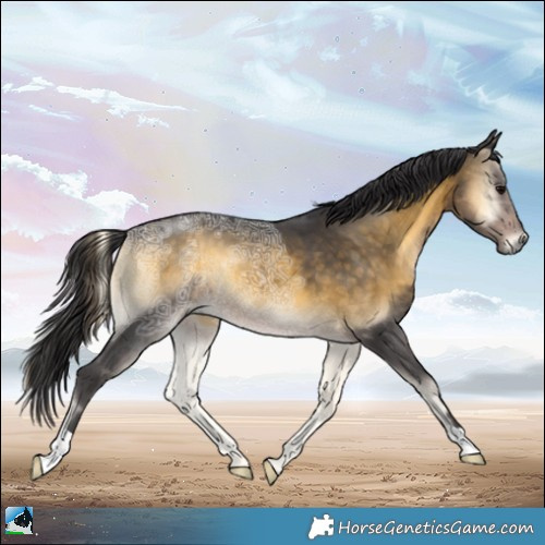 Horse Color:Buckskin Ice Onyx 
