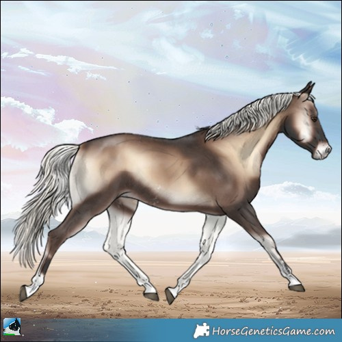 Horse Color:Liver Red Onyx Mushroom Sabino Rabicano 