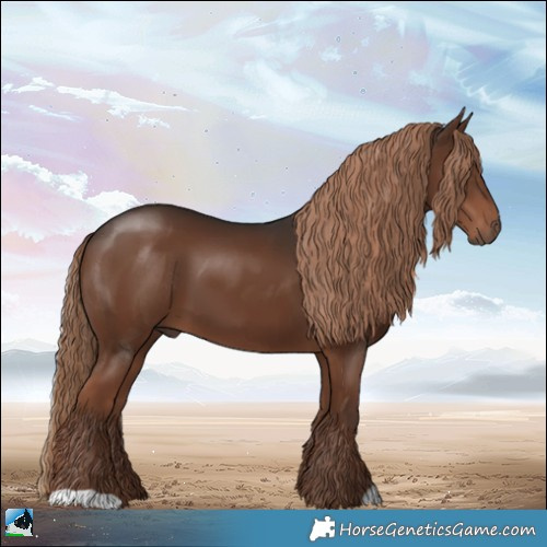 Horse Color:Liver Chestnut 
