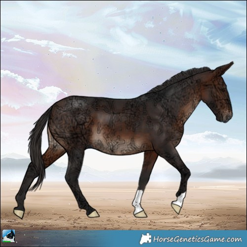 Horse Color:Brown Ice Mushroom 