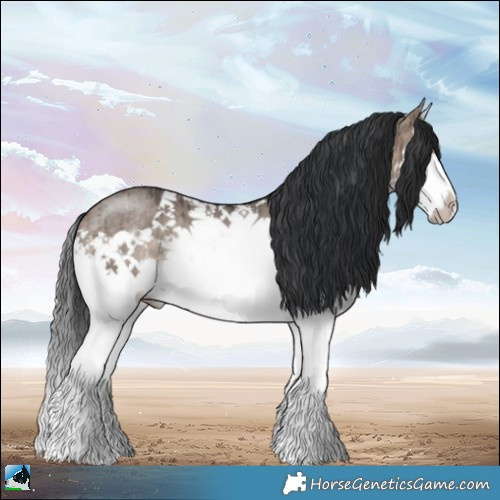 Horse Color:Brown Dun Mushroom Splash Rabicano Brindle 