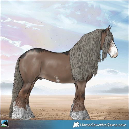 Horse Color:Liver Red Dun Mushroom Sabino 