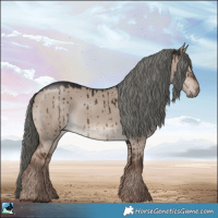 Horse Color:Liver Red Dun Mushroom Brindle