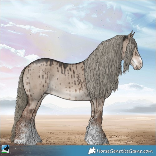 Horse Color:Liver Red Dun Mushroom Sabino Rabicano Brindle