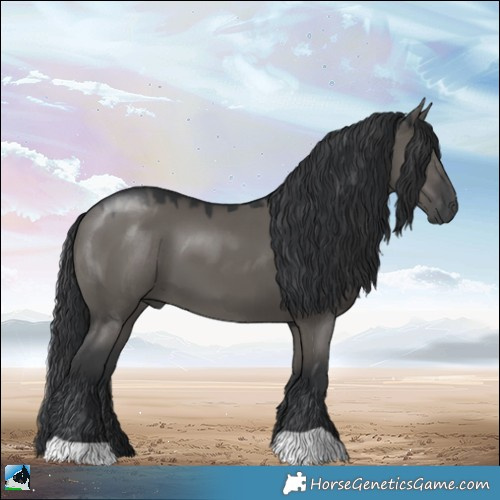 Horse Color:Grullo Mushroom 