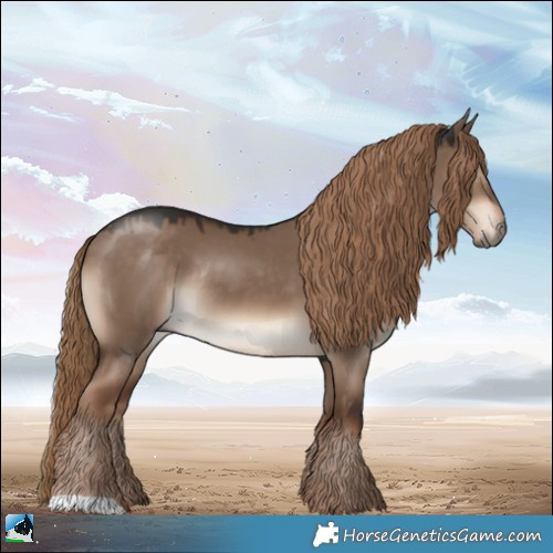 Horse Color:Liver Red Dun Rabicano 