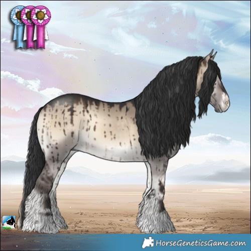Horse Color:Brown Onyx Sabino Rabicano Brindle 