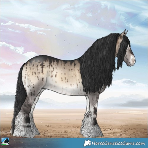 Horse Color:Brown Onyx Sabino Rabicano Brindle 