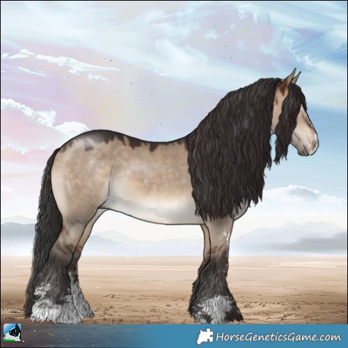 Horse Color:Brown Dun Sabino Rabicano 