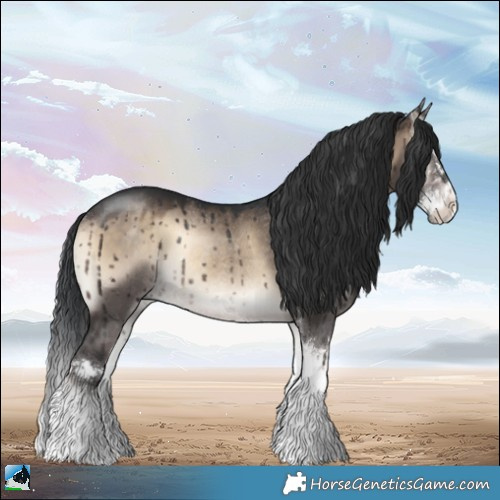 Horse Color:Brown Onyx Sabino Splash Rabicano Brindle