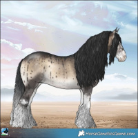 Horse Color:Brown Onyx Sabino Splash Rabicano Brindle 