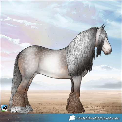 Horse Color:Gray Liver Chestnut 