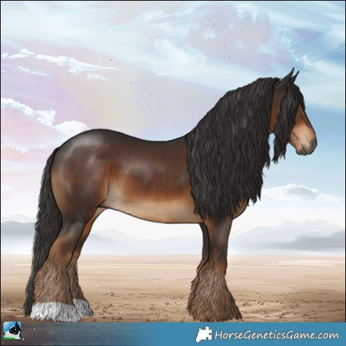 Horse Color:Gray Liver Chestnut