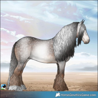 Horse Color:Gray Liver Chestnut 