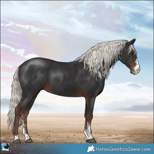 Horse Color:Liver Chestnut Mushroom Sabino
