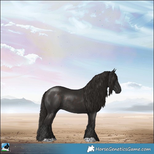 Horse Color:Liver Chestnut Rabicano 