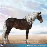 Horse Color:Liver Chestnut Ice Mushroom 