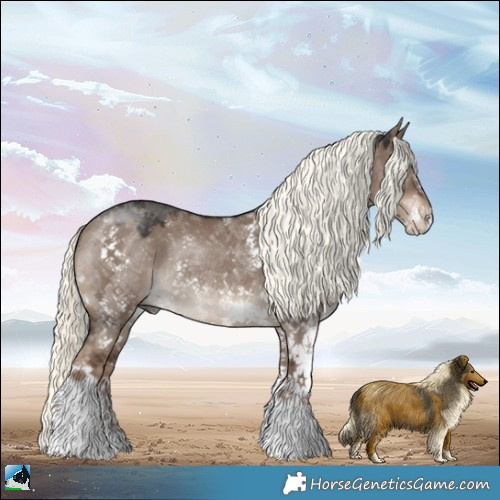 Horse Color:Liver Red Dun Mushroom Sabino Rabicano 