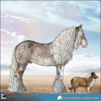 Horse Color:Liver Red Dun Mushroom Sabino Rabicano 