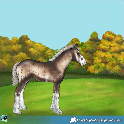 Horse Color:Liver Red Onyx Mushroom Sabino 