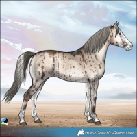 Horse Color:Liver Red Dun Onyx Mushroom Sabino Rabicano Brindle 