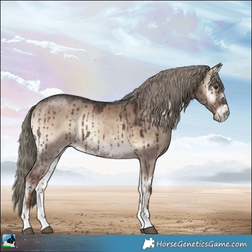 Horse Color:Liver Red Dun Onyx Mushroom Sabino Rabicano Brindle 