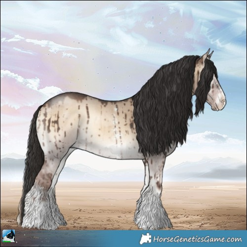 Horse Color:Liver Red Dun Onyx Sabino Rabicano Brindle 