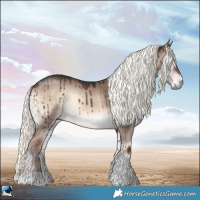 Horse Color:Liver Red Dun Onyx Mushroom Sabino Rabicano Brindle