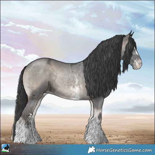 Horse Color:Blue Onyx Ice Sabino Rabicano Brindle