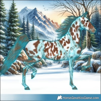 Horse Color:Thunderstruck Chestnut Appaloosa