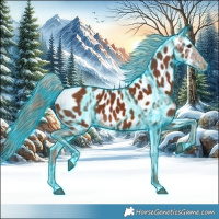 Horse Color:Thunderstruck Chestnut Appaloosa 